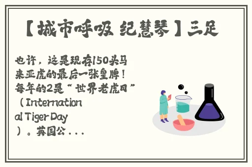 午夜伦yy44880影院